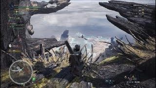 モンスターハンター：ワールド　バグ