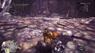 モンスターハンターワールド♪　バンさんとダブル配信だぜぃ♪