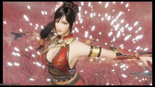 練師(Lian Shi) 真・三國無双8 コンボ Dynasty Warriors 9 combo