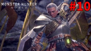 #10 赤音の「モンスターハンターワールド」 [ps4]