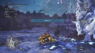 モンスターハンター：ワールド_20180513115703