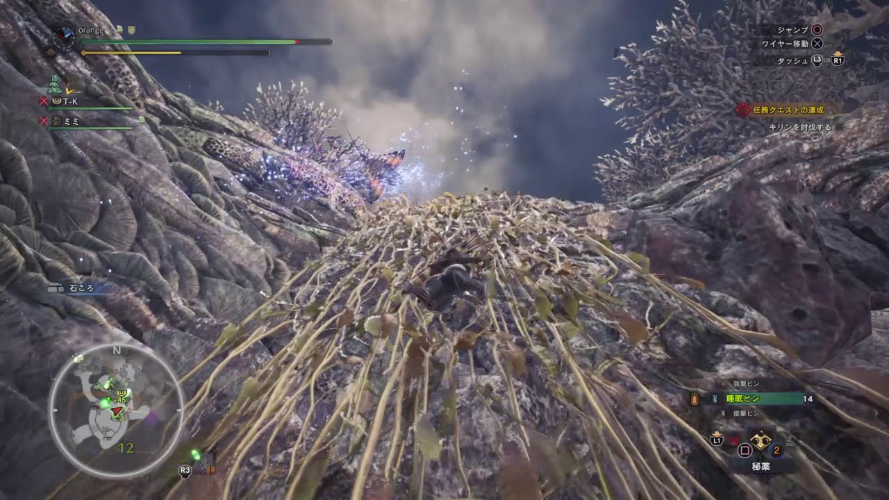 モンスターハンター：ワールド_20180514065034