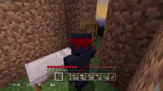 ＜マインクラフト＞昨日買ったんだけどこれなにすんの？