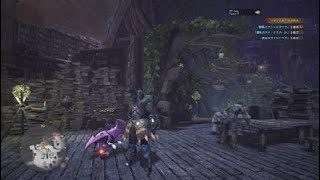 モンスターハンターワールド:MHW #15