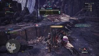 モンスターハンター：ワールド_のんびり歴戦リオレウス