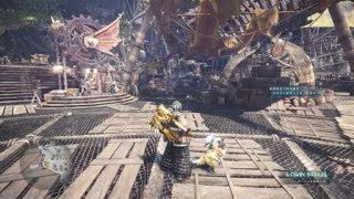 モンスターハンター：ワールド_20180528172724