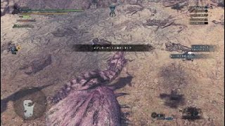 モンスターハンター：ワールド_20180512224032