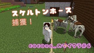 【マインクラフト】スケルトンホースが現れた！【cocoxa_のマイクラ#6】