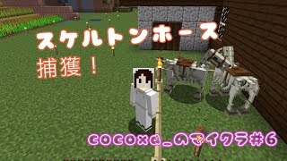 【マインクラフト】スケルトンホースが現れた！【cocoxa_のマイクラ#6】