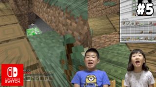 【マインクラフト Nintendo Switch#6】たのしい村ライフを満喫♪【せんももゲーム実況】