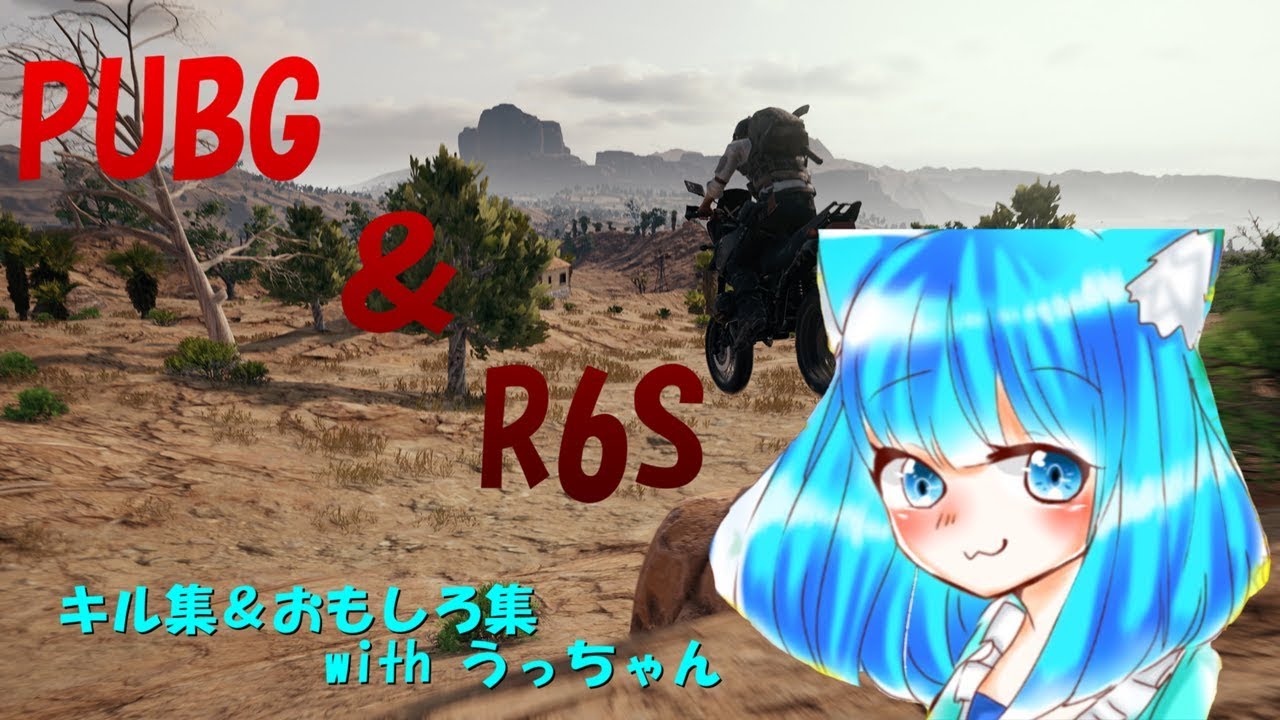 PUBGとR6Sで馬鹿騒ぎする2人【ぽこげー・実況】