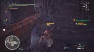モンスターハンターワールド  play part 1