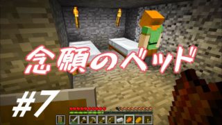 【マインクラフト】しずクラ #7 ついに念願のベッドを手に入れた！クモ狩りじゃ。【マイクラ実況】