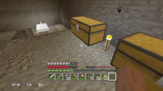 マインクラフト