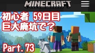【マイクラ】初心者 59日目全ロス&チビゾンビ襲撃！Part.73【#マインクラフト】【LIVE】