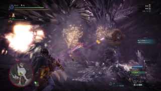 モンスターハンター：ワールド_20180508113405