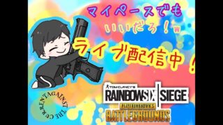 【ゲーム実況】うるさいDUO【PUBG】