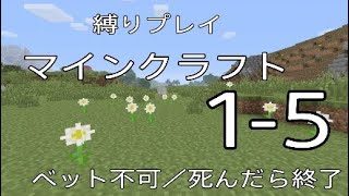 【1-5】縛りプレイマインクラフト（ベット不可：ノーコン）