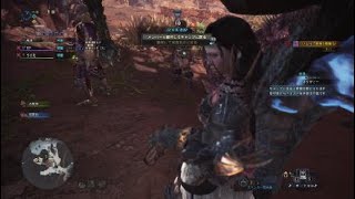 モンスターハンター：ワールド_20180314000845