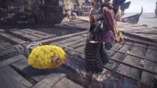 モンスターハンターワールド！アラフィフでも無言で狩るんです！＃1