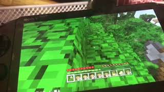 ｢マインクラフト｣ますさばさんとコラボPart1(後編)