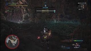モンスターハンター：ワールド_20180527190324