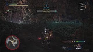 モンスターハンター：ワールド_20180527190324