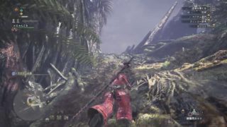 モンスターハンター：ワールド_20180525075546