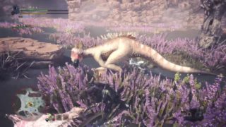 モンスターハンター：ワールド_20180530000937