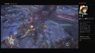 モンスターハンターワールド　視聴者参加型　概要欄にかいてあります！