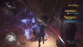 モンスターハンター：ワールド_フル強化してこれですよ．．．