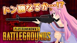 【PUBG実況】VTuber信姫がソロでドン勝を目指す【バーチャルYouTuber】