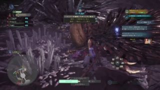 モンスターハンター：ワールド_太刀で見切ろうとした結果