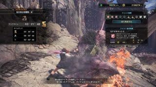 モンスターハンター：ワールド_ストファイコラボ第２弾