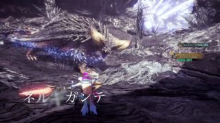 【モンスターハンターワールド：咆哮集　追加モンスターも含めた最新版】