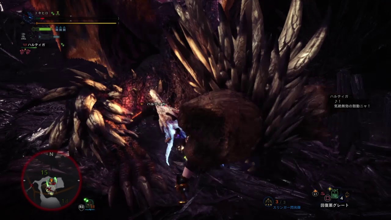 モンスターハンター：ワールド_20180513150925