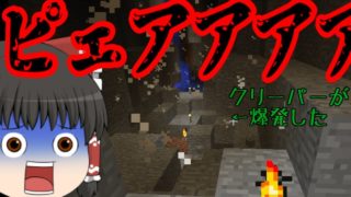 【ゆっくり実況】天真爛漫なマインクラフト part3