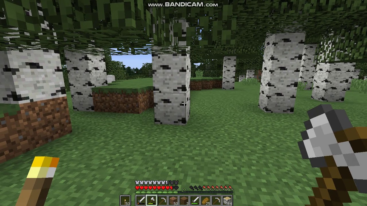 マインクラフト243