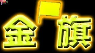 【スプラトゥーン2】あなたが落としたのは金の旗？それとも金メッキの旗？【獲得金旗1枚】