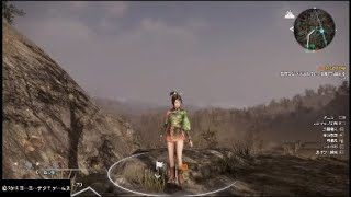 真・三國無双8 髪消失バグ