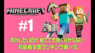 【PS4版 マインクラフト】 初心者中の初心者による大冒険