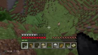 無言でPS４のマインクラフト（ワールド名：3）