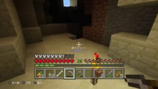 無言でPS４のマインクラフト（ワールド名：3）