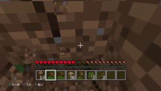 無言でPS４のマインクラフト（ワールド名：3）