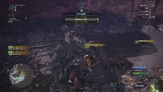 のんびりモンスターハンターワールド