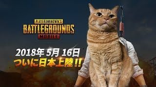 【PUBG実況】遂にスマホ版PUBG登場！早速プレイしてみたら優しさが溢れていた。【PLAYERUNKNOWN'S BATTLEGROUNDS】