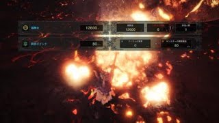 モンスターハンター：ワールド_20180528143655