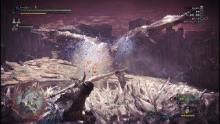 モンスターハンター：ワールド_20180521221134