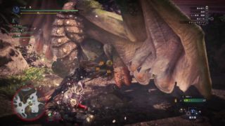 モンスターハンター：ワールド_20180511004908