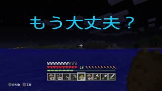 子供工作教室のおばちゃんがまじめにマインクラフト!　その9 倉庫作り　整地編